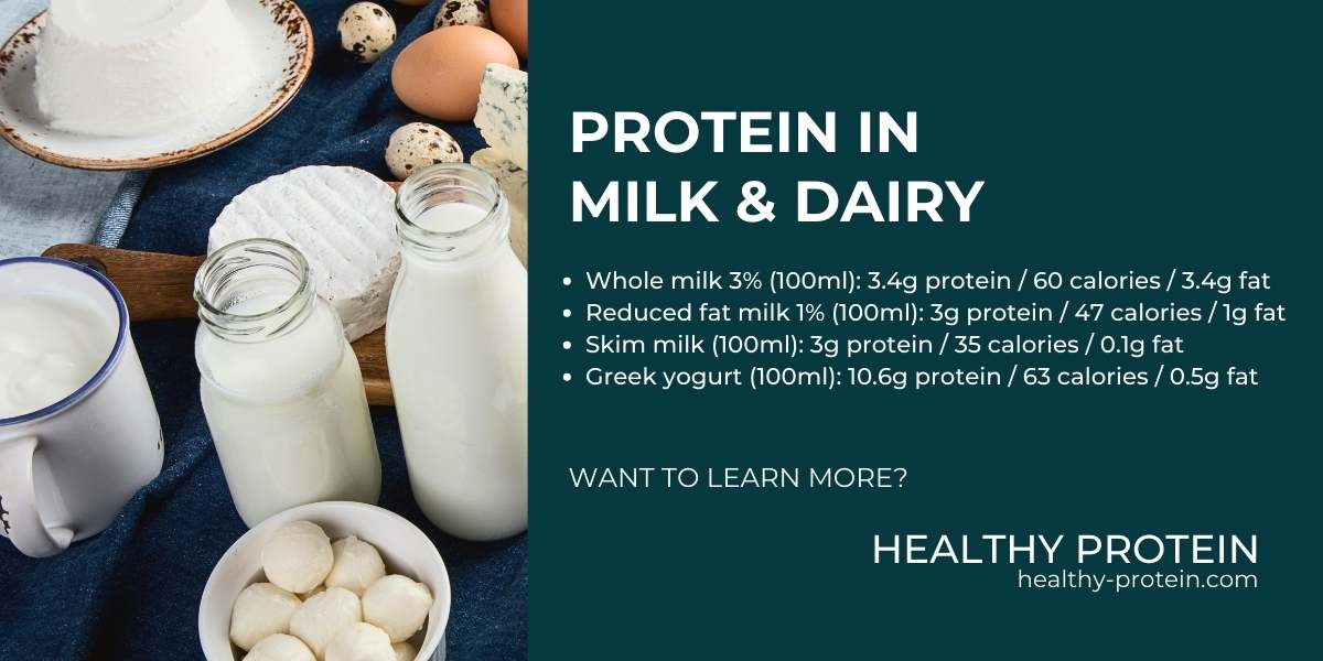 Protein in milk and dairy nutrition info